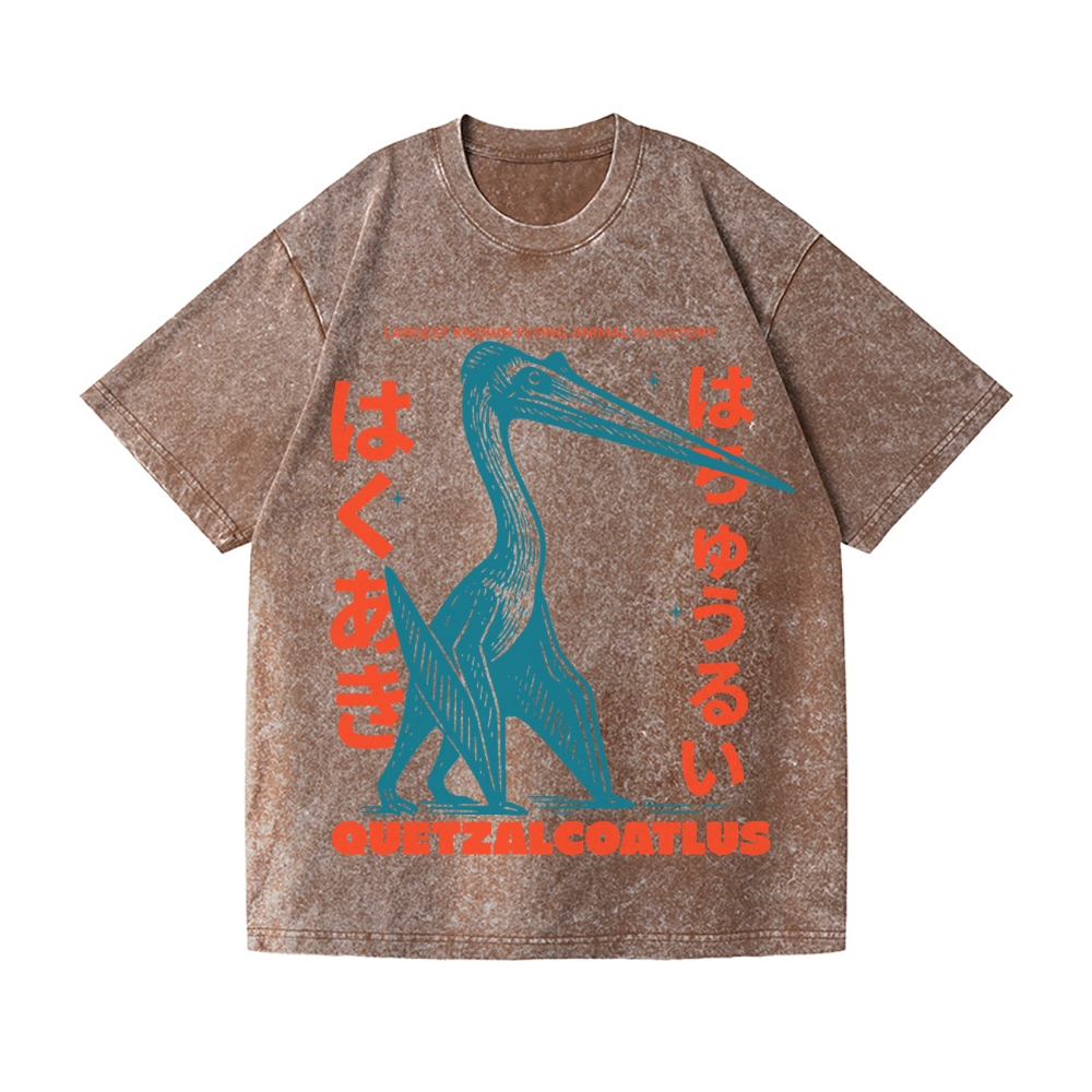 Quetzalcoatlus Vintage Wash Japanese Design T-Shirt