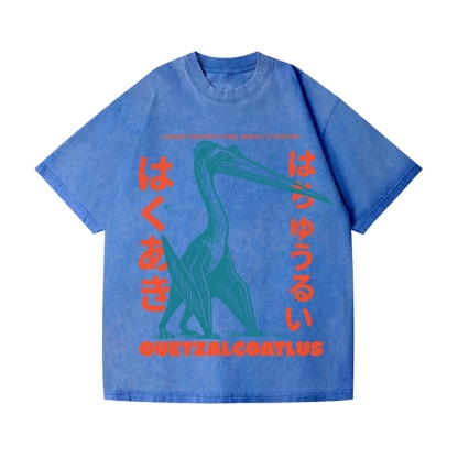 Quetzalcoatlus Vintage Wash Japanese Design T-Shirt