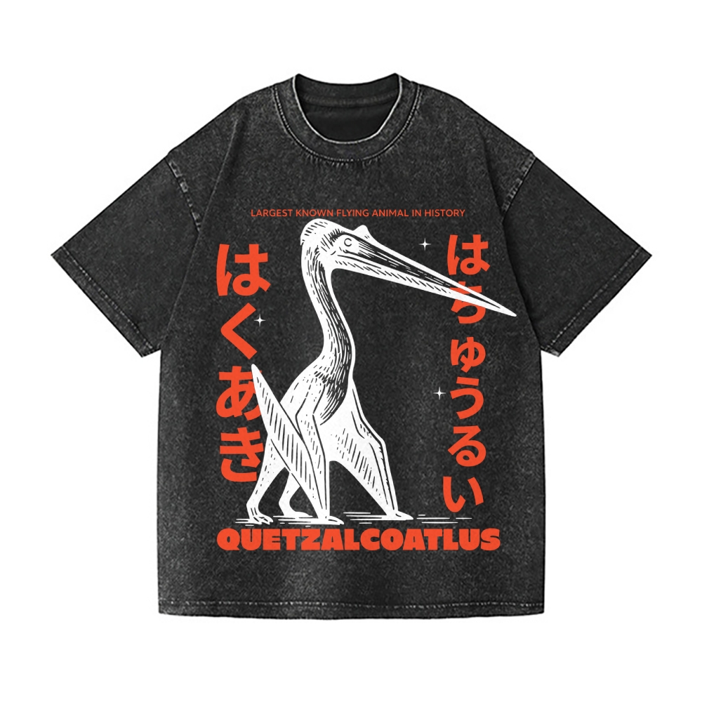 Quetzalcoatlus Vintage Wash Japanese Design T-Shirt