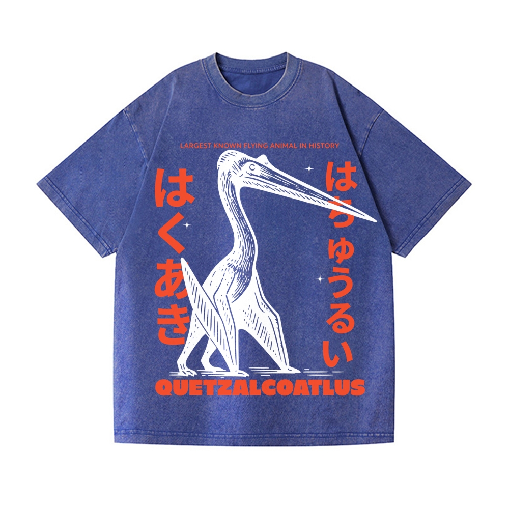 Quetzalcoatlus Vintage Wash Japanese Design T-Shirt