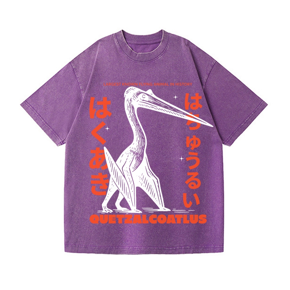 Quetzalcoatlus Vintage Wash Japanese Design T-Shirt