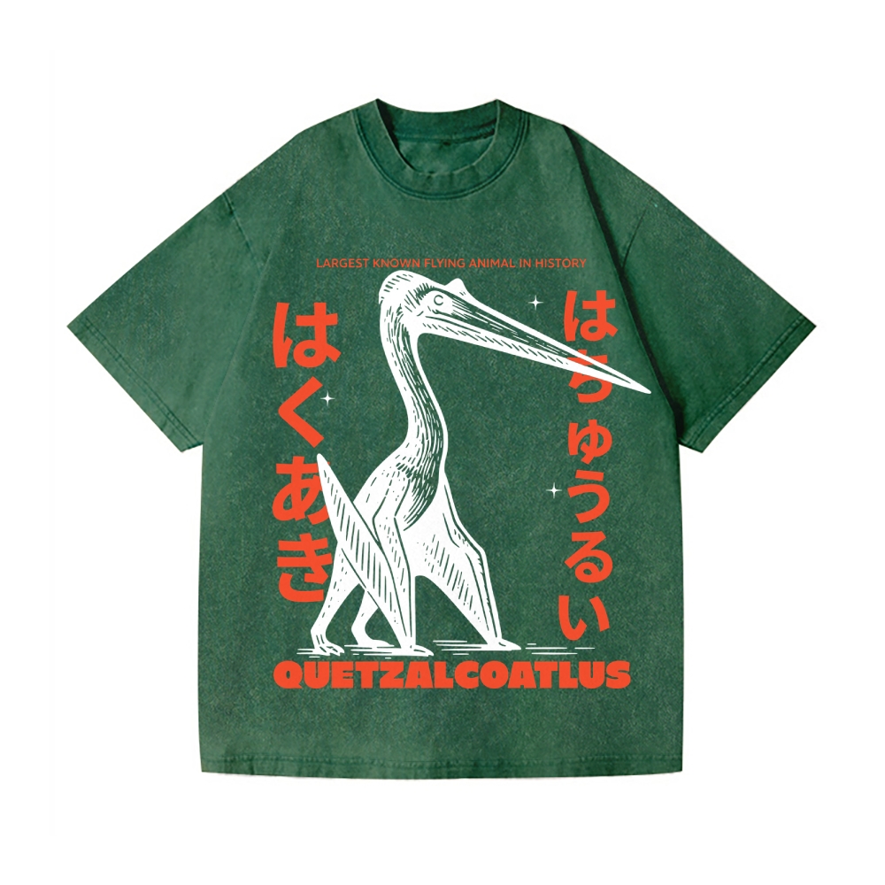 Quetzalcoatlus Vintage Wash Japanese Design T-Shirt