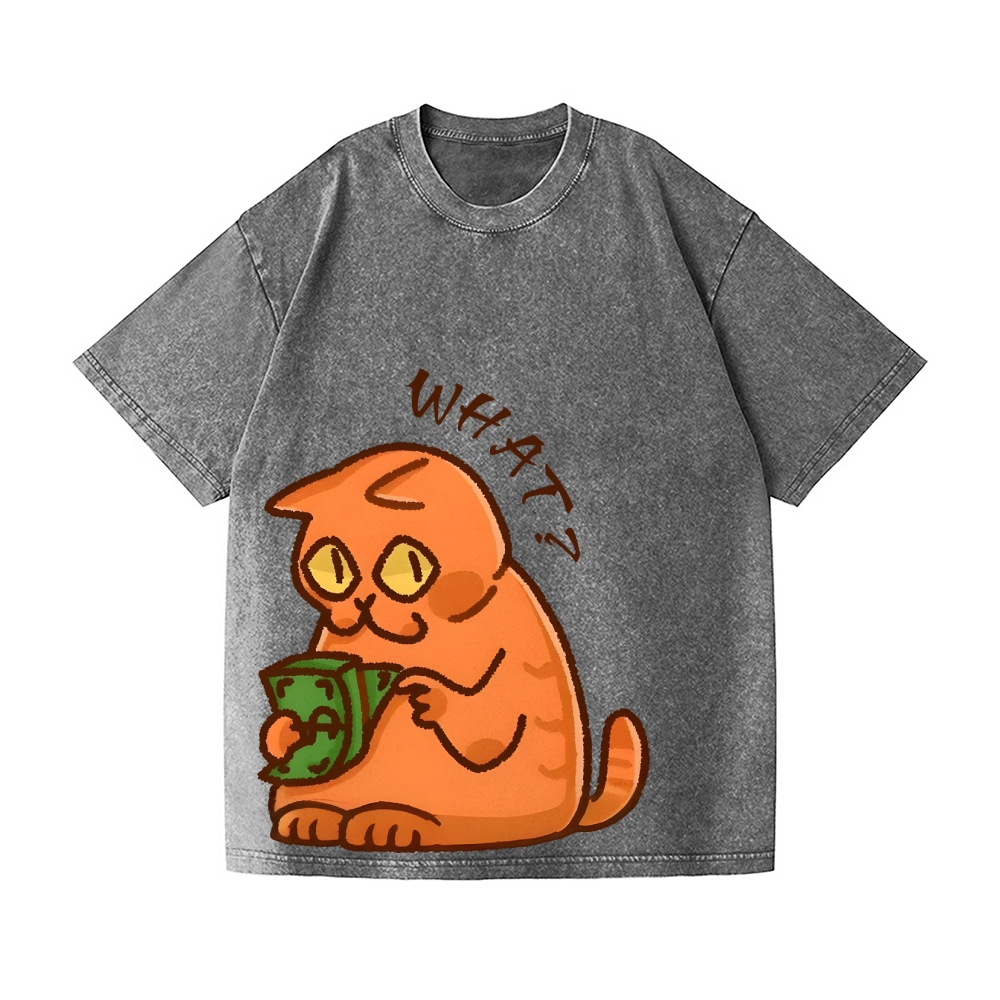 Moneygrubber Cat Vintage Wash Japanese Design T-Shirt