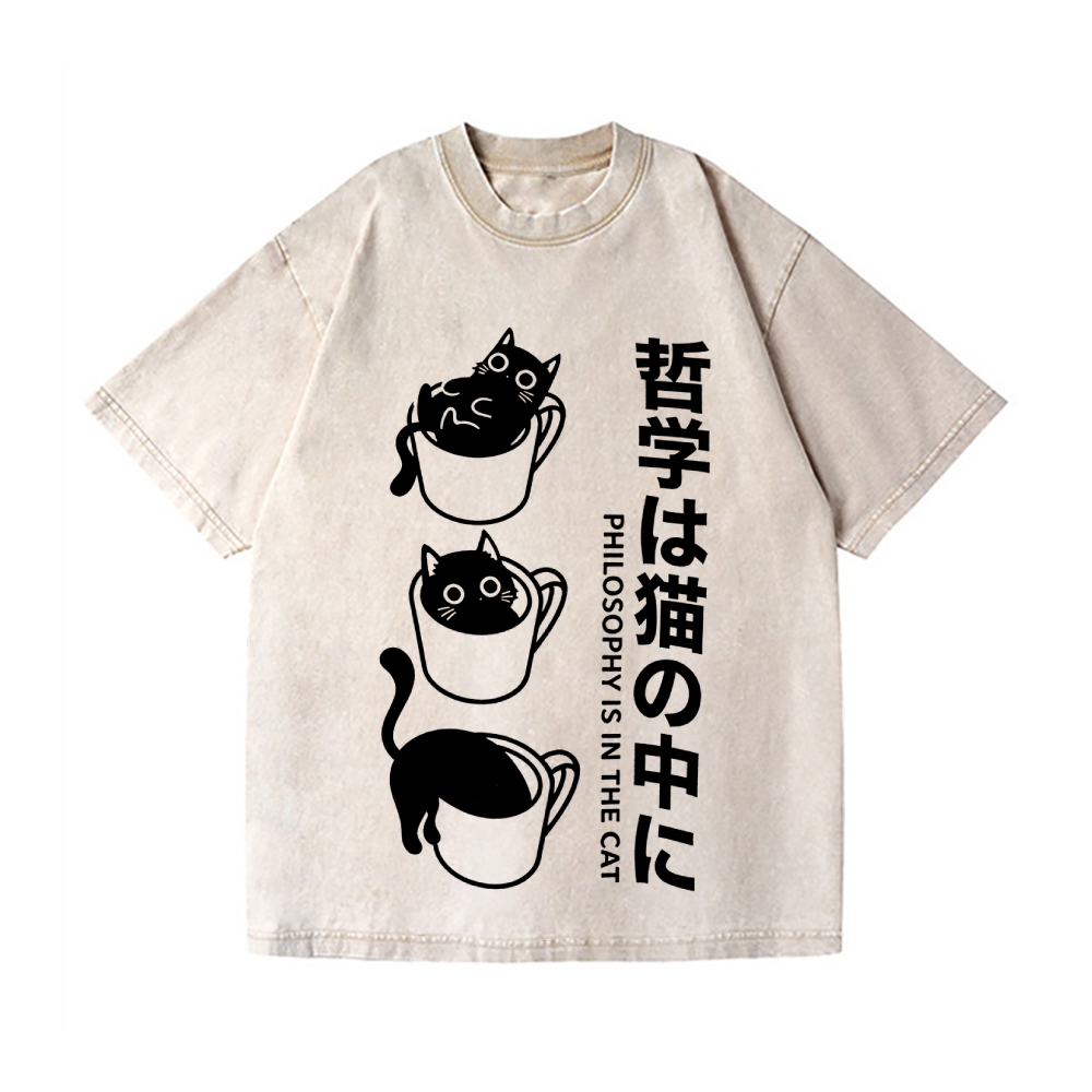 Philosophical Cat Vintage Wash Japanese Design T-Shirt
