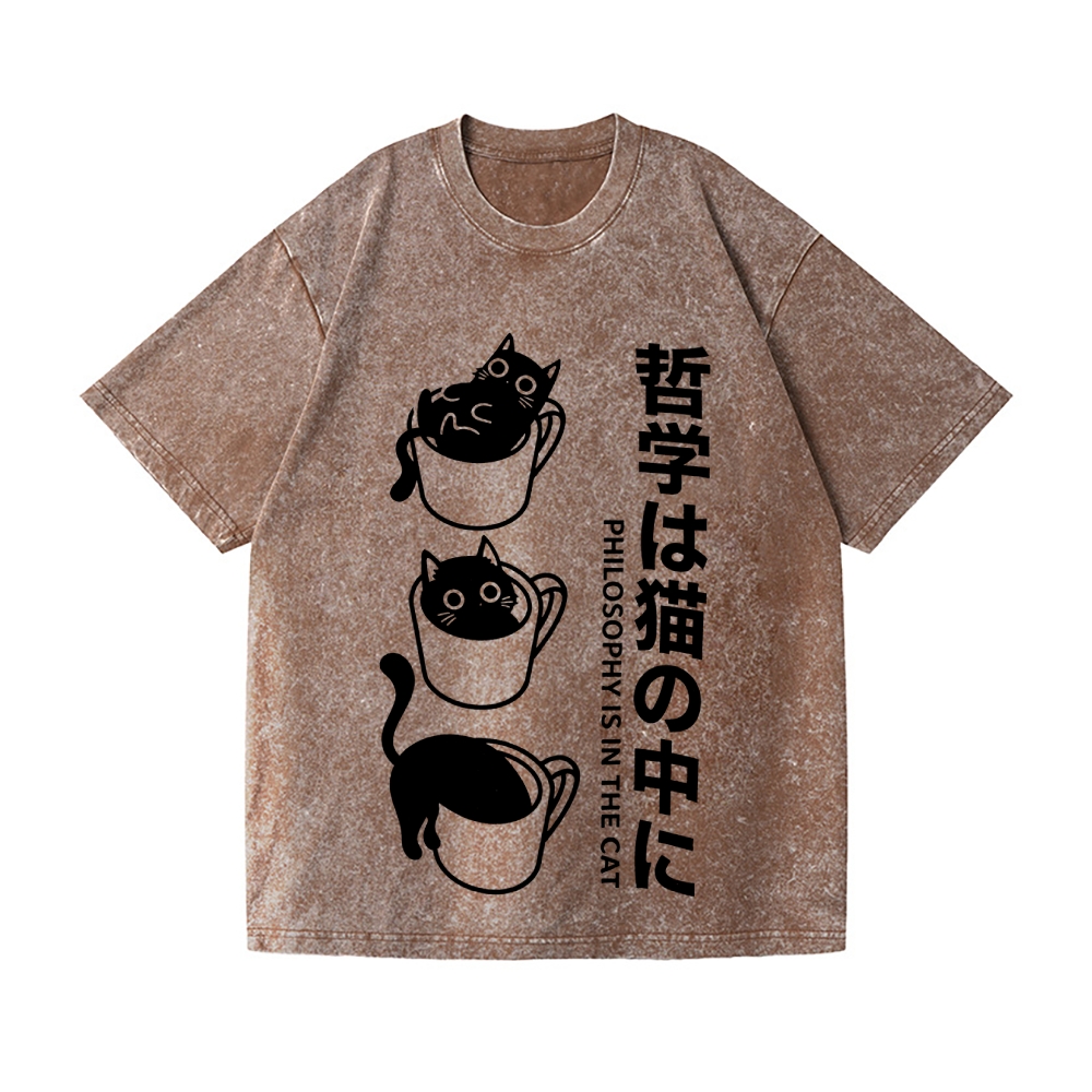 Philosophical Cat Vintage Wash Japanese Design T-Shirt