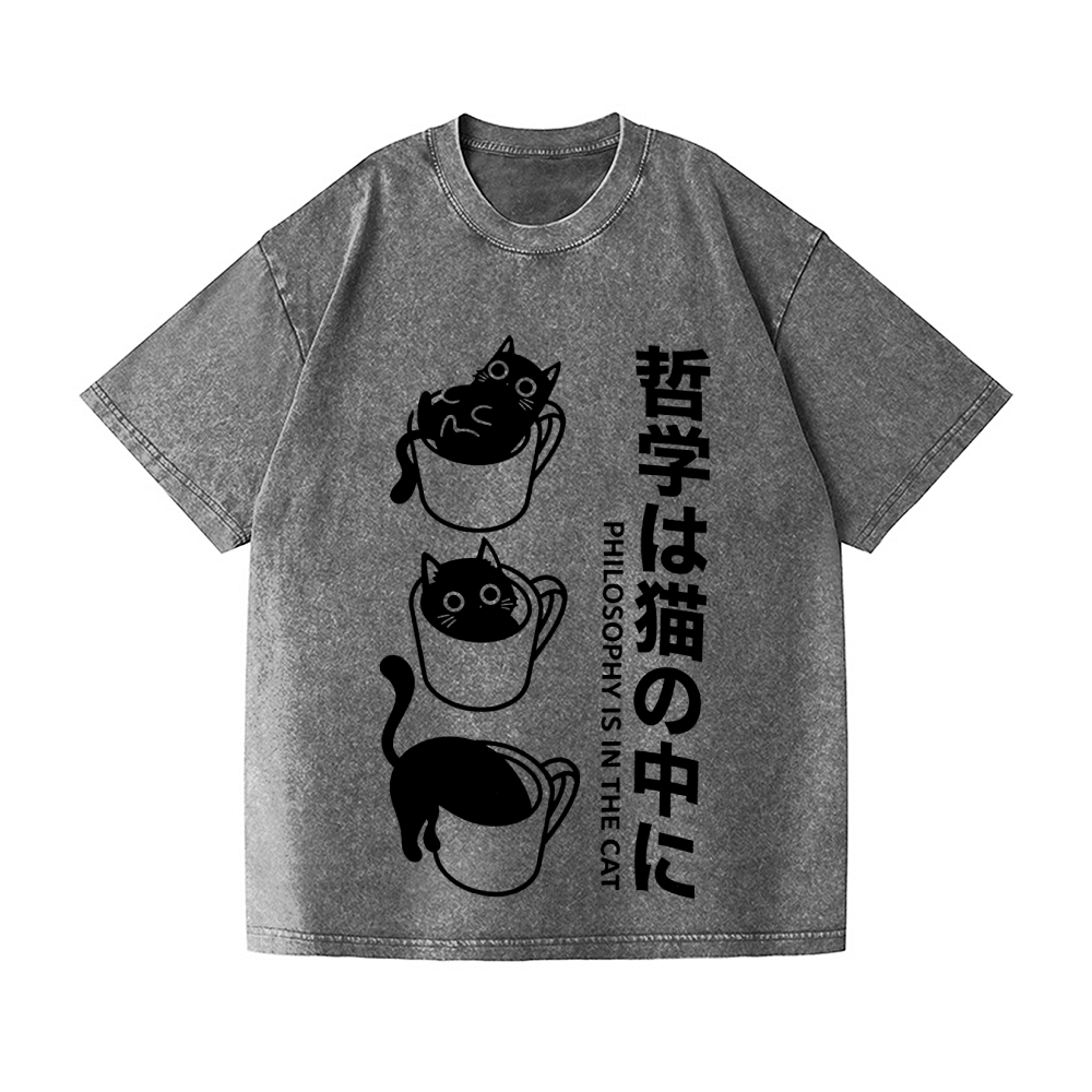 Philosophical Cat Vintage Wash Japanese Design T-Shirt