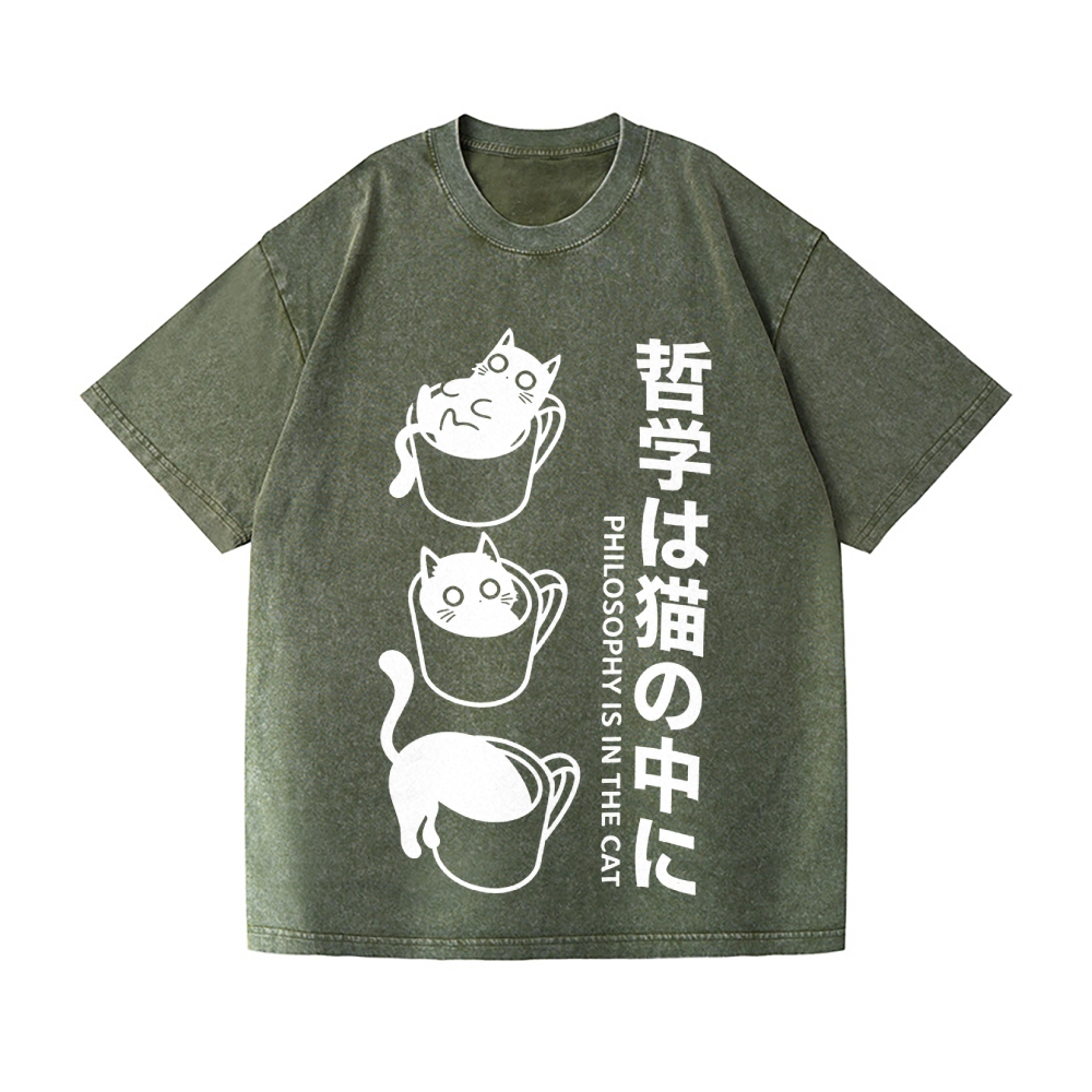 Philosophical Cat Vintage Wash Japanese Design T-Shirt