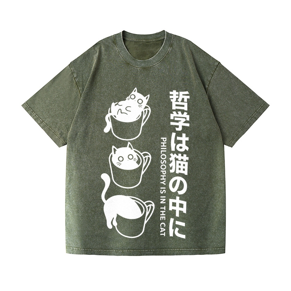 Philosophical Cat Vintage Wash Japanese Design T-Shirt