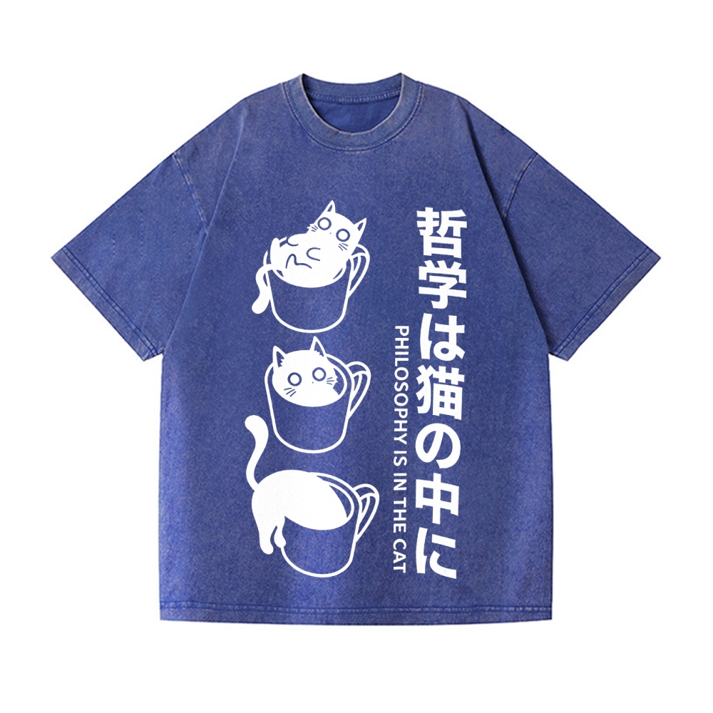 Philosophical Cat Vintage Wash Japanese Design T-Shirt