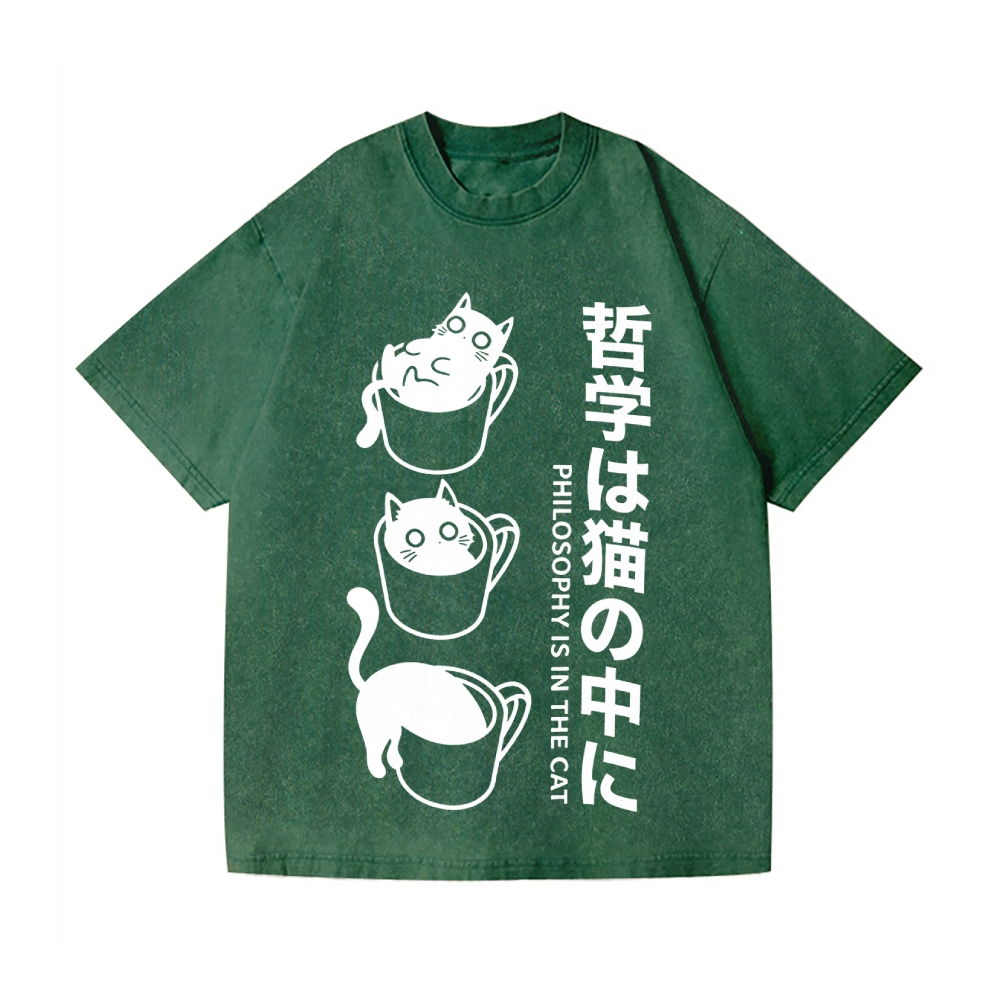 Philosophical Cat Vintage Wash Japanese Design T-Shirt