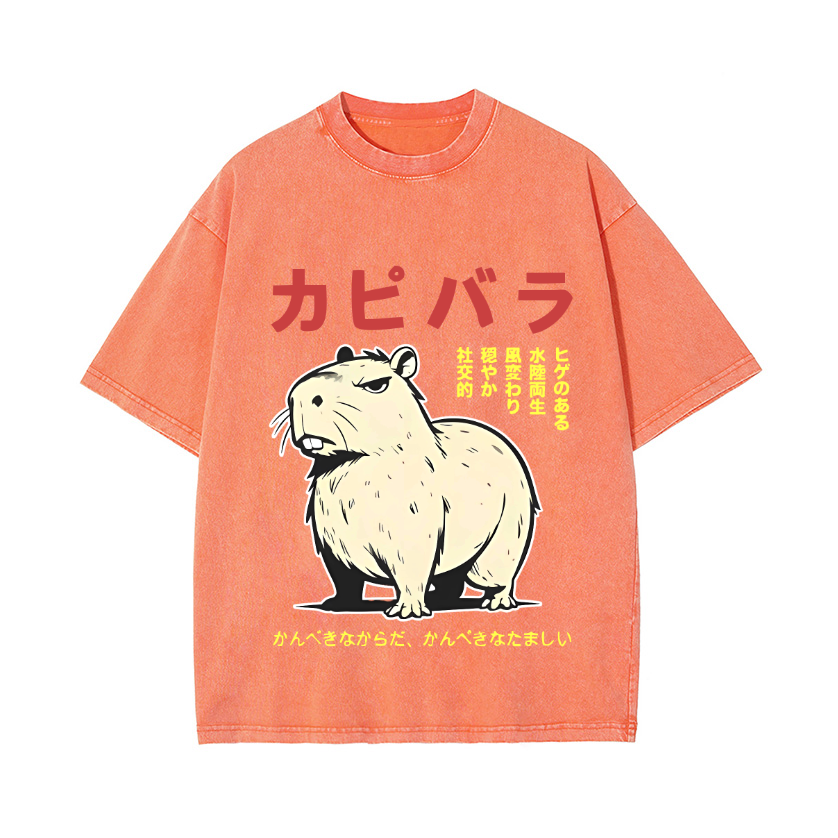 Capybara Vintage Wash Japanese Design T-Shirt