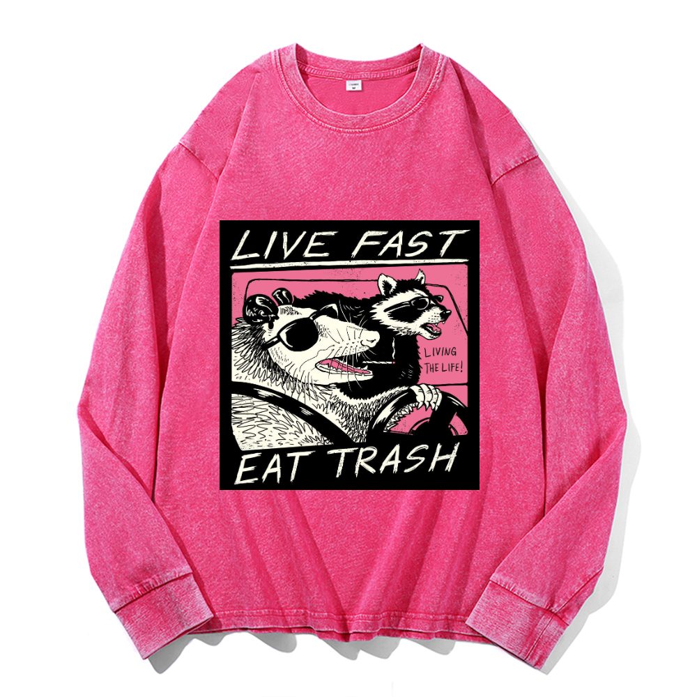 Vintage Cotton Wash Crewneck Sweatshirt