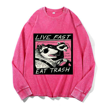 Vintage Cotton Wash Crewneck Sweatshirt