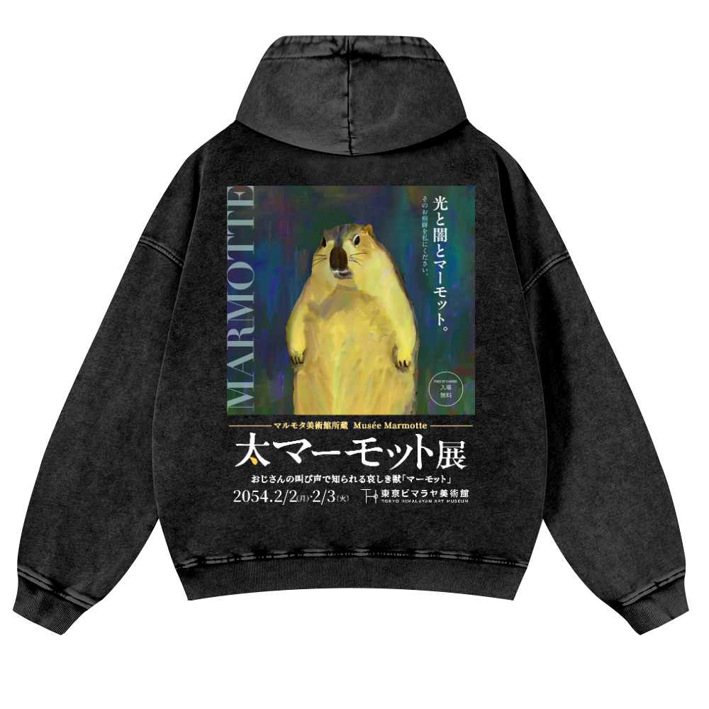 Marmot Vintage Washed Cotton Back Art Hoodie