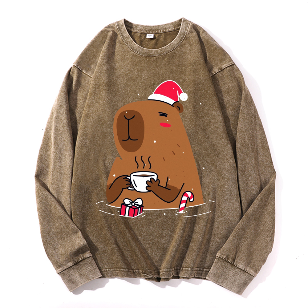 Capybara Vintage Cotton Wash Crewneck Sweatshirt