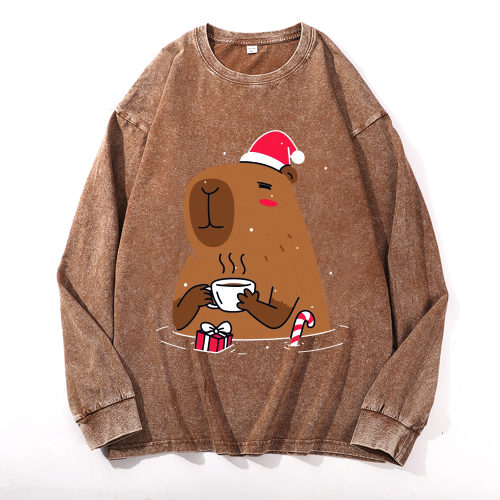 Capybara Vintage Cotton Wash Crewneck Sweatshirt
