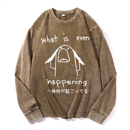 What Is Even Happening Vintage Cotton Wash Long-sleeve T-shirt