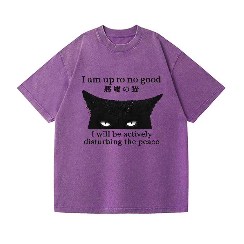 Devil Cat Vintage Wash Japanese Design T-Shirt