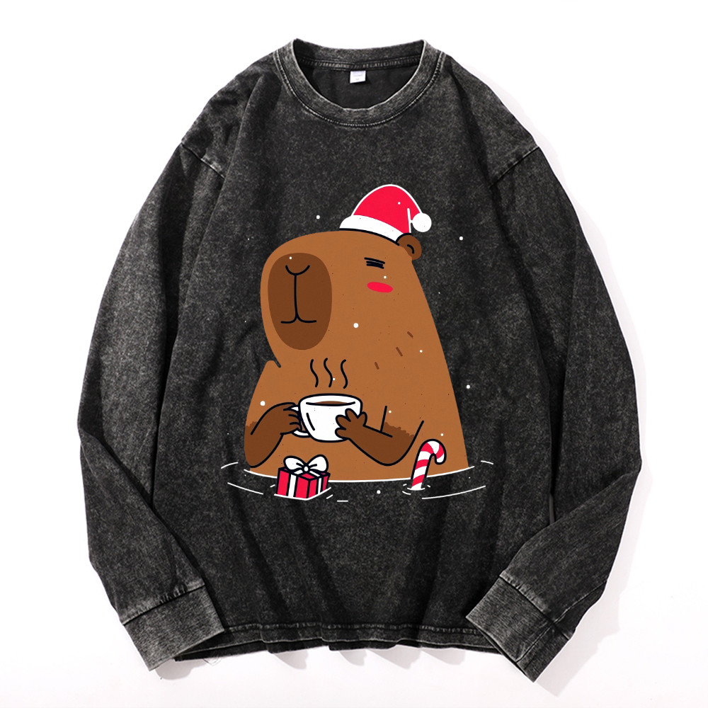 Capybara Vintage Cotton Wash Crewneck Sweatshirt