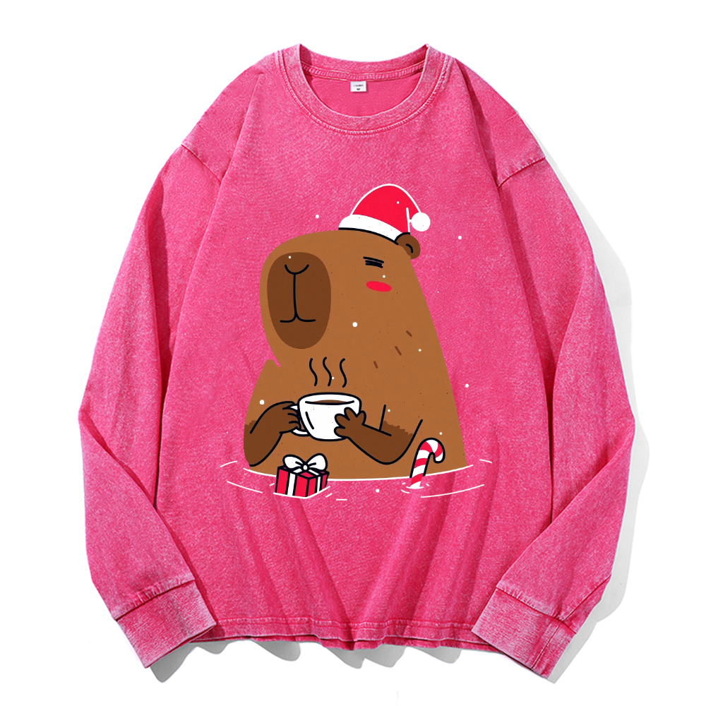 Capybara Vintage Cotton Wash Crewneck Sweatshirt