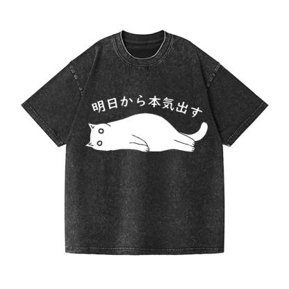 Vintage Wash Japanese Design T-Shirt