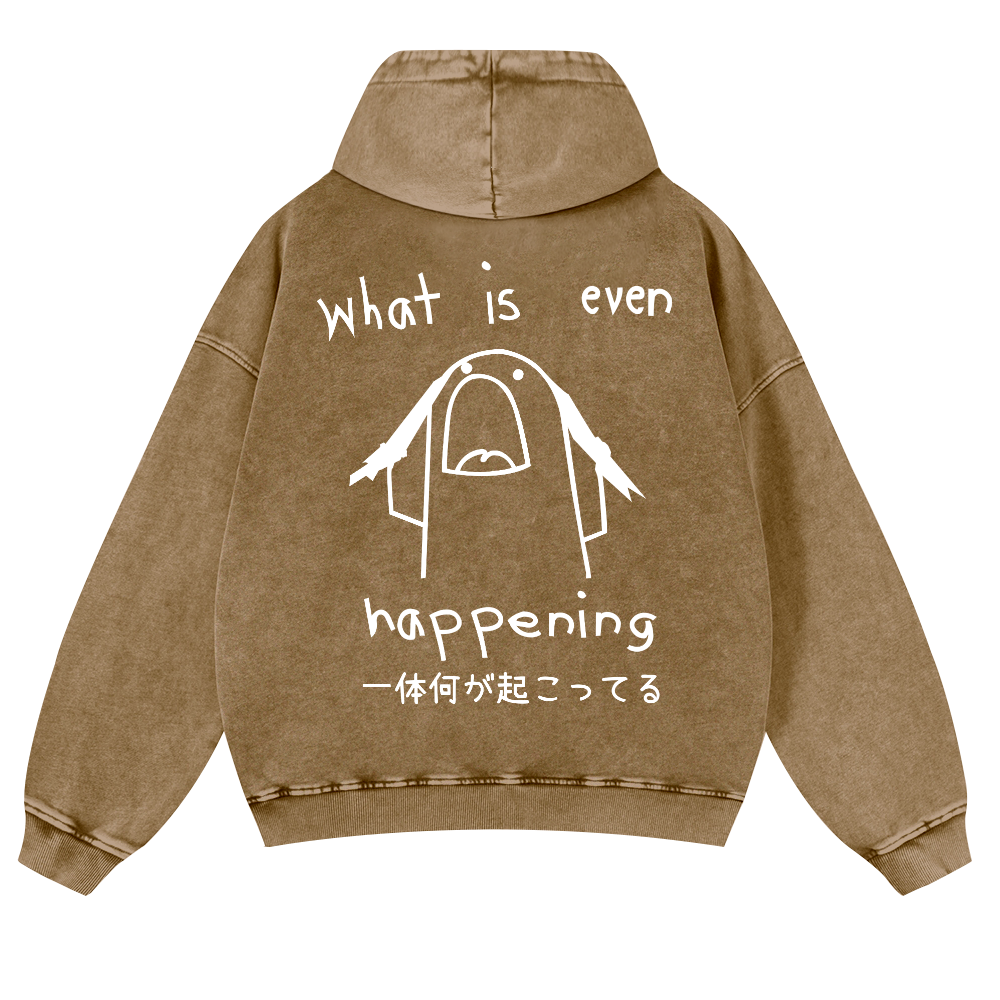 What Is Even Happening Vintage Washed Cotton Back Art Hoodie