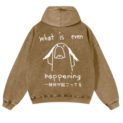 What Is Even Happening Vintage Washed Cotton Back Art Hoodie
