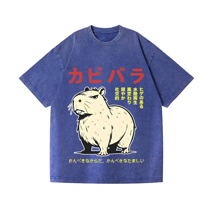 Capybara Vintage Wash Japanese Design T-Shirt