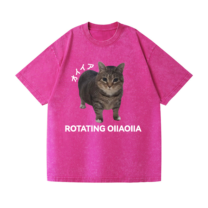 OIIA Cat Vintage Wash Japanese Design T-Shirt