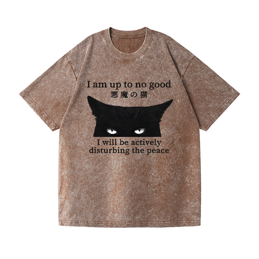 Devil Cat Vintage Wash Japanese Design T-Shirt