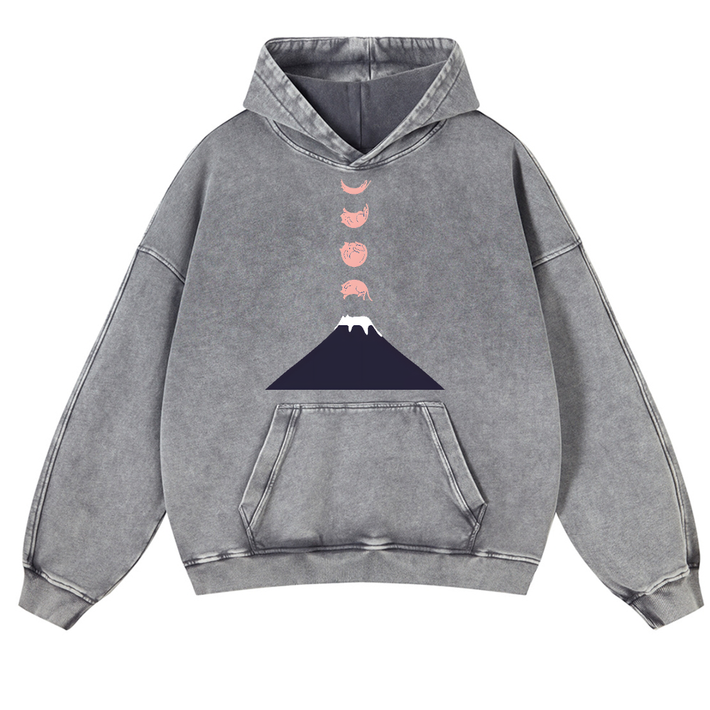 Mount FUJI Moon Cat Vintage Washed Thick Cotton Hoodie