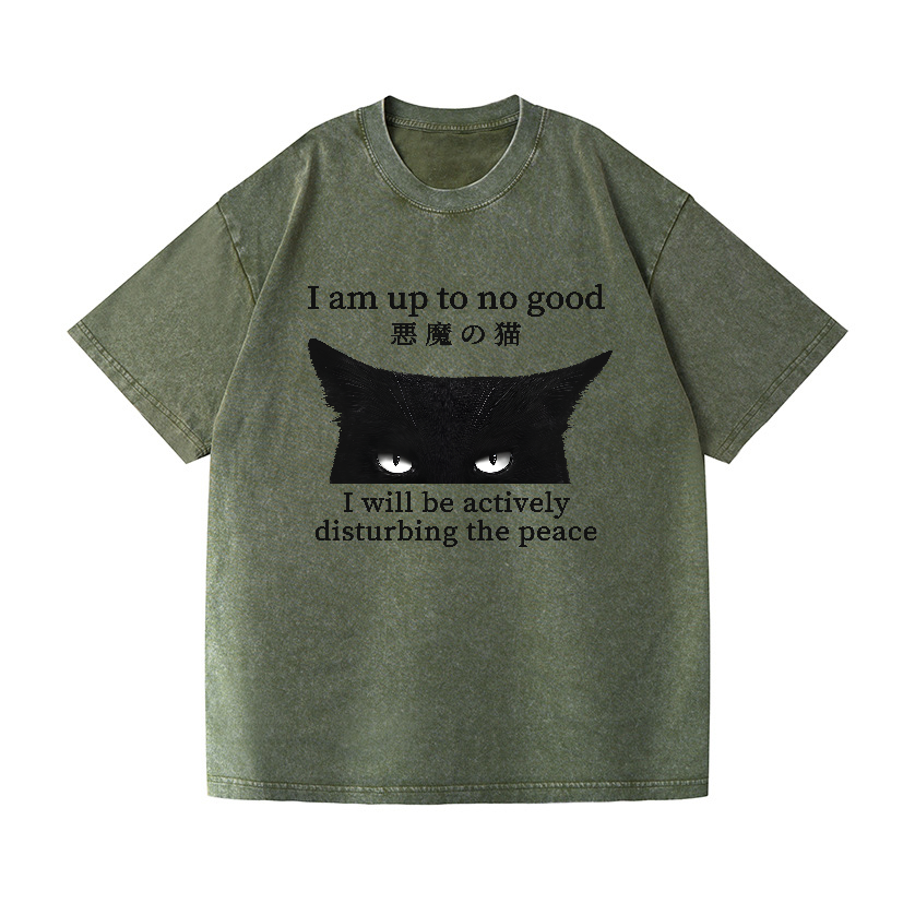 Devil Cat Vintage Wash Japanese Design T-Shirt
