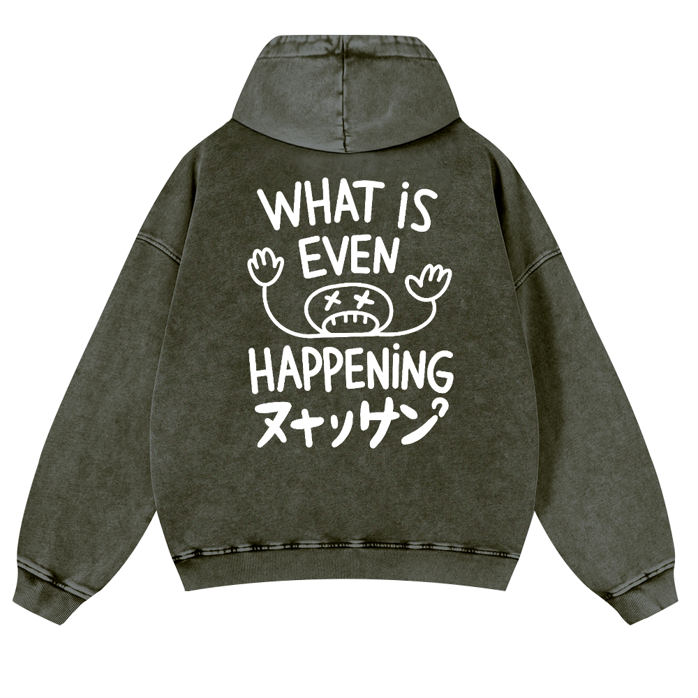 What Is Happening Vintage Washed Cotton Back Art Hoodie