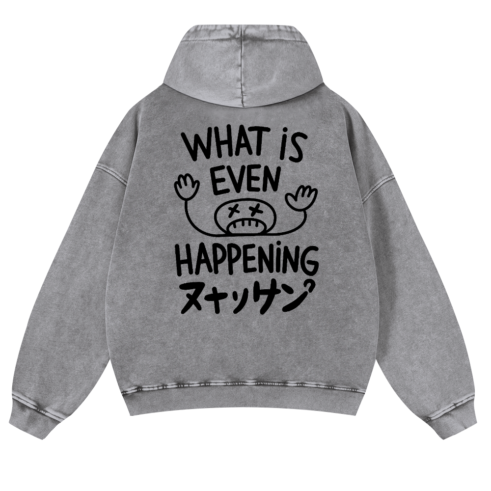 What Is Happening Vintage Washed Cotton Back Art Hoodie