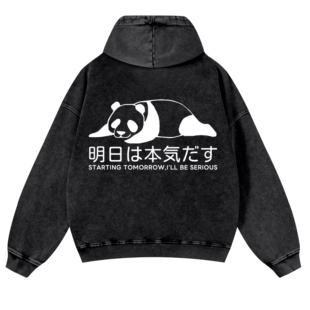Starting Tomorrow, I'Ll Be Serious Vintage Washed Cotton Back Art Hoodie