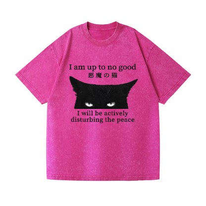 Devil Cat Vintage Wash Japanese Design T-Shirt