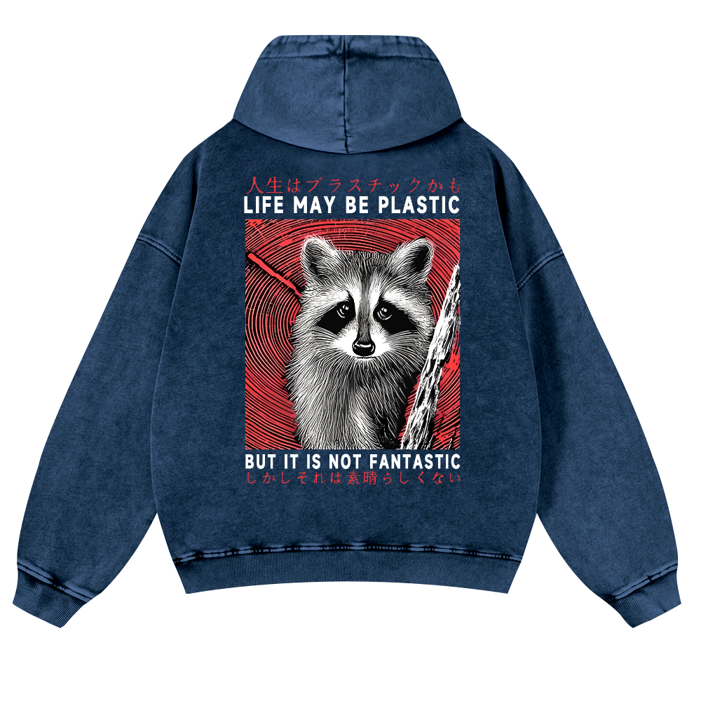 Raccoon Vintage Washed Cotton Back Art Hoodie