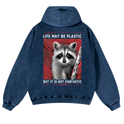 Raccoon Vintage Washed Cotton Back Art Hoodie