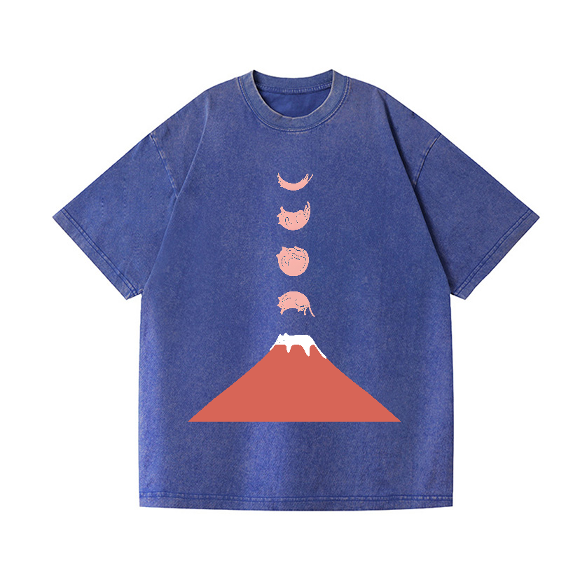 Mount FUJI Moon Cat Vintage Wash Japanese Design T-Shirt