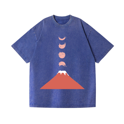 Mount FUJI Moon Cat Vintage Wash Japanese Design T-Shirt