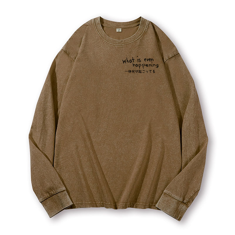 What Is Happening Vintage Washed Cotton Back Art Long-sleeve T-shirt