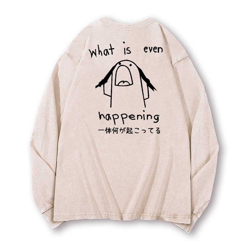 What Is Happening Vintage Washed Cotton Back Art Long-sleeve T-shirt
