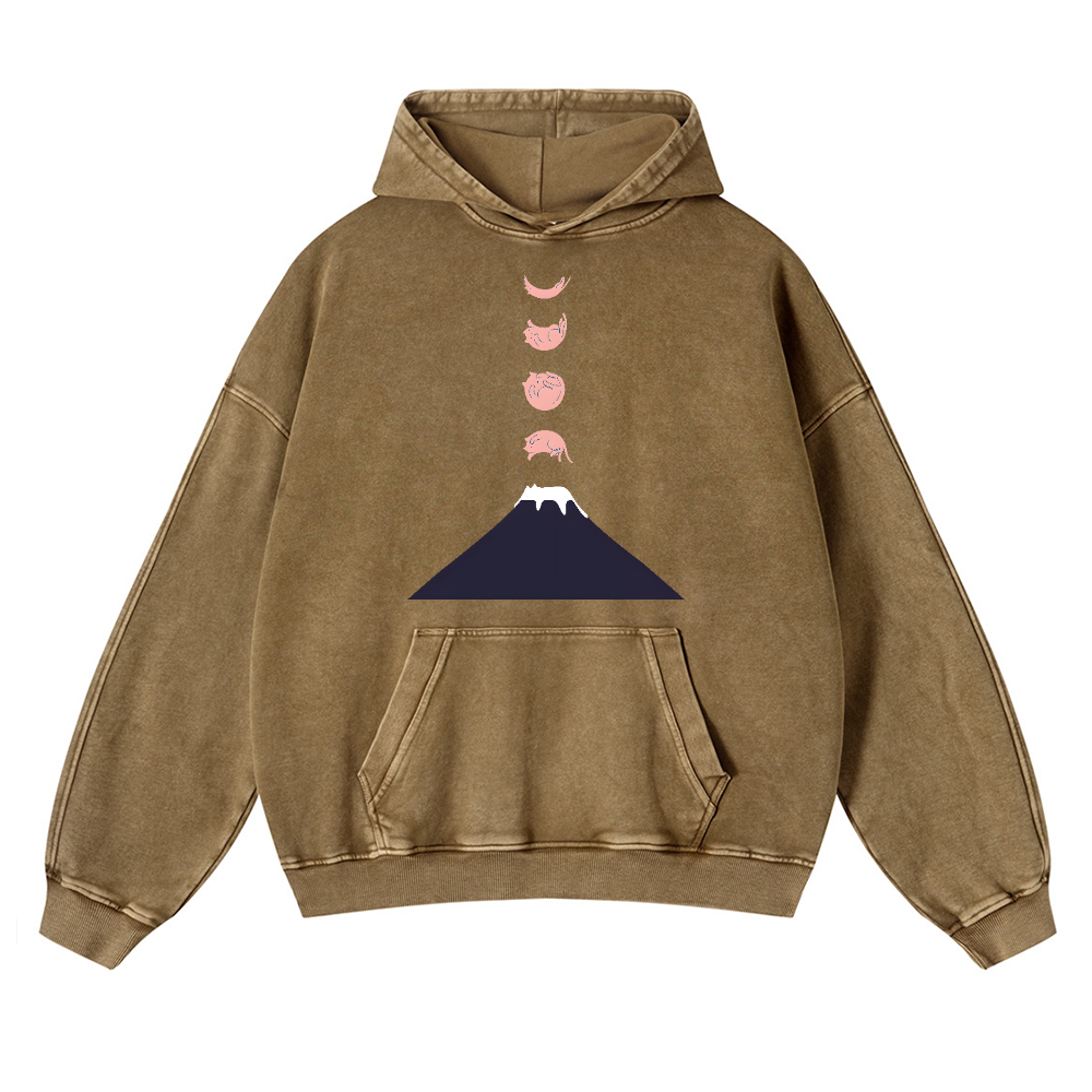 Mount FUJI Moon Cat Vintage Washed Thick Cotton Hoodie