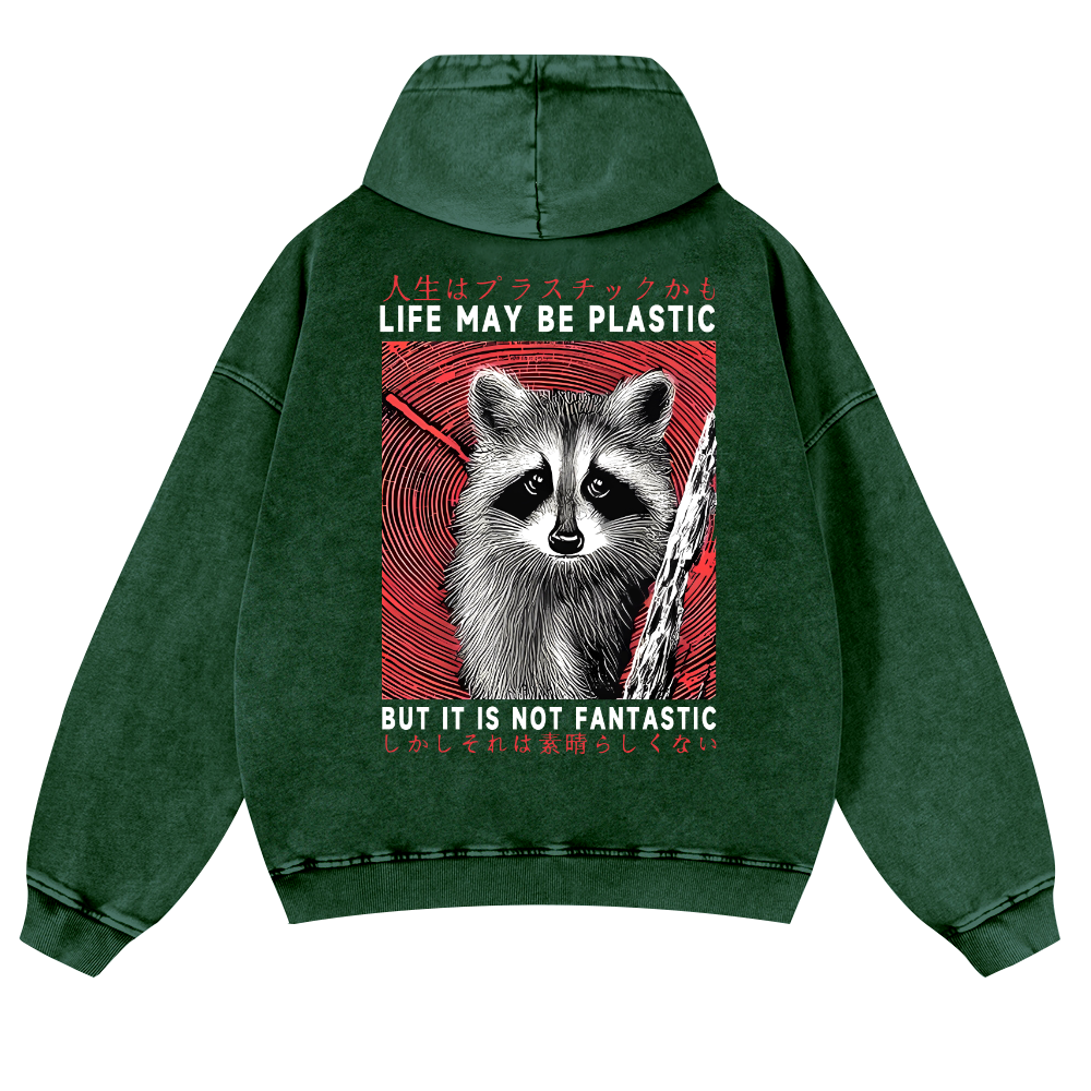 Raccoon Vintage Washed Cotton Back Art Hoodie