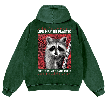 Raccoon Vintage Washed Cotton Back Art Hoodie