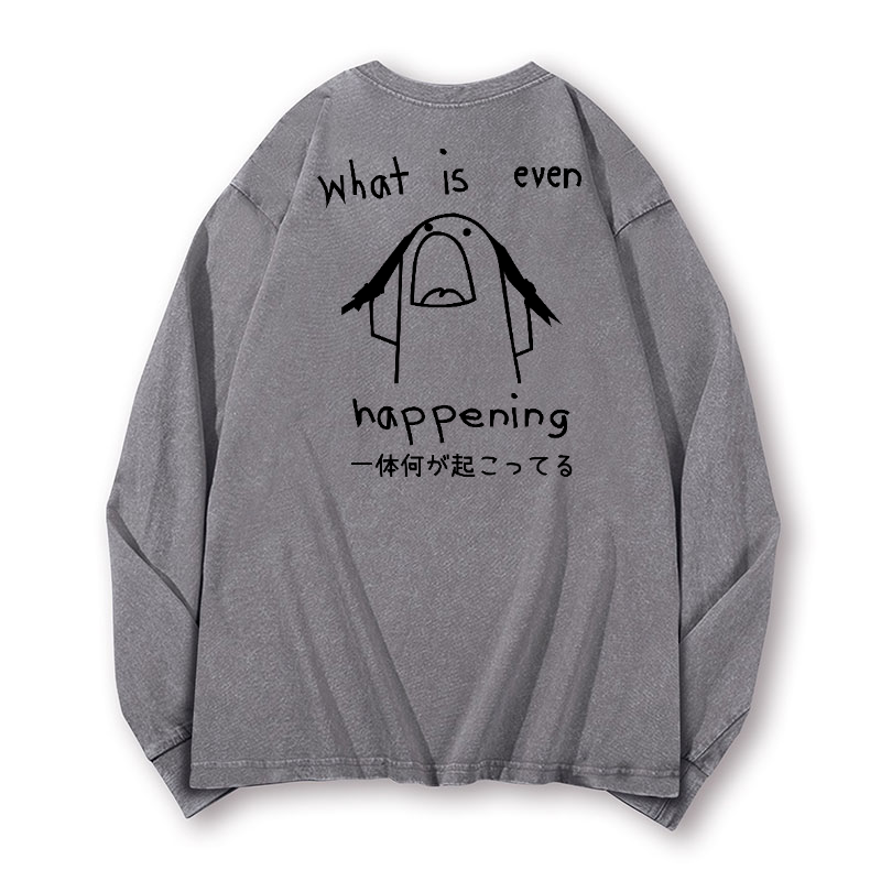 What Is Happening Vintage Washed Cotton Back Art Long-sleeve T-shirt