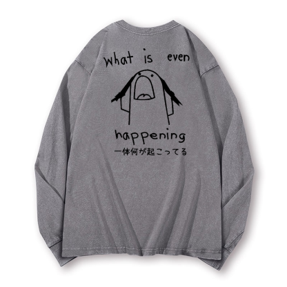 What Is Happening Vintage Washed Cotton Back Art Long-sleeve T-shirt