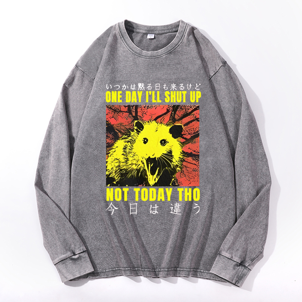 Vintage Cotton Wash Crewneck Sweatshirt