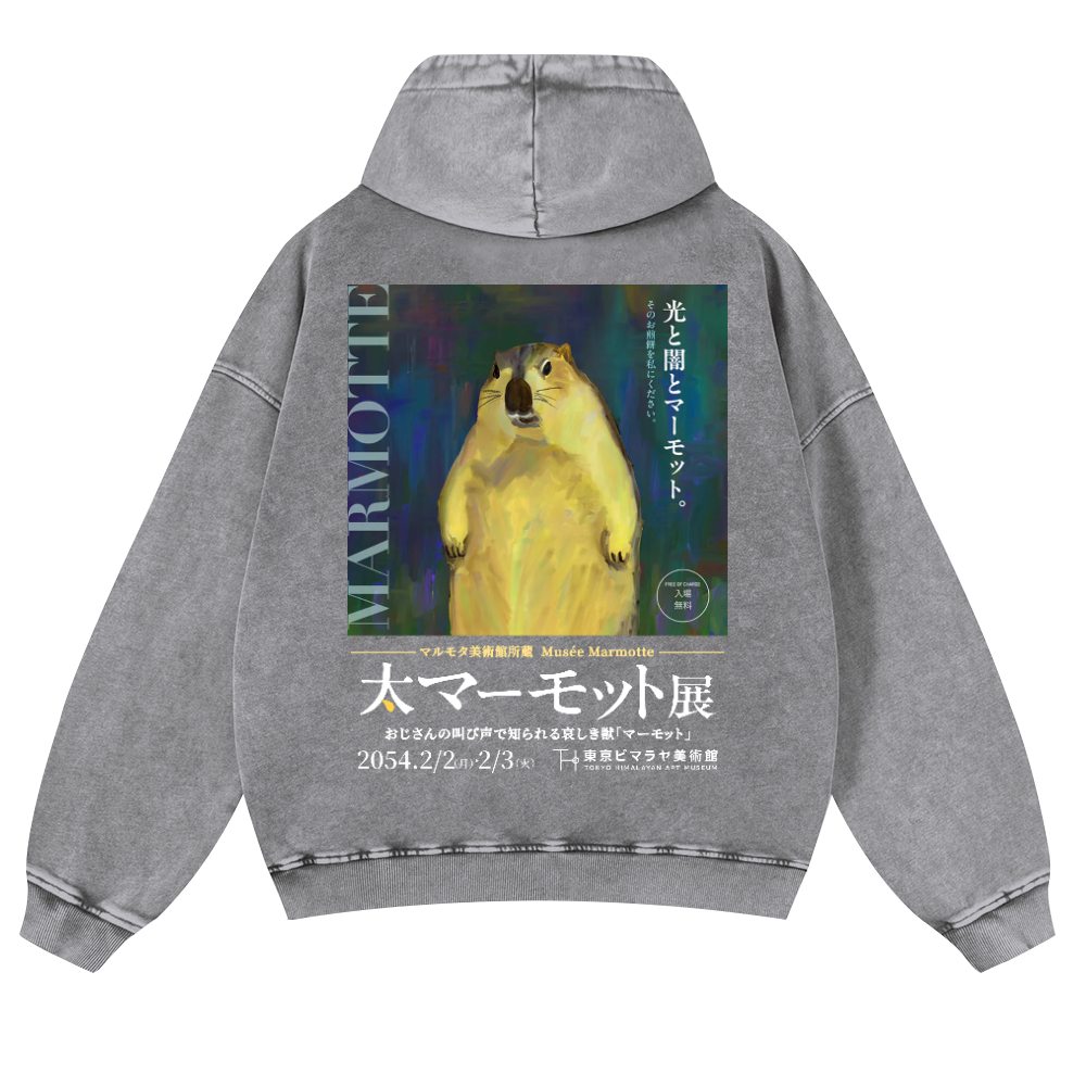 Marmot Vintage Washed Cotton Back Art Hoodie