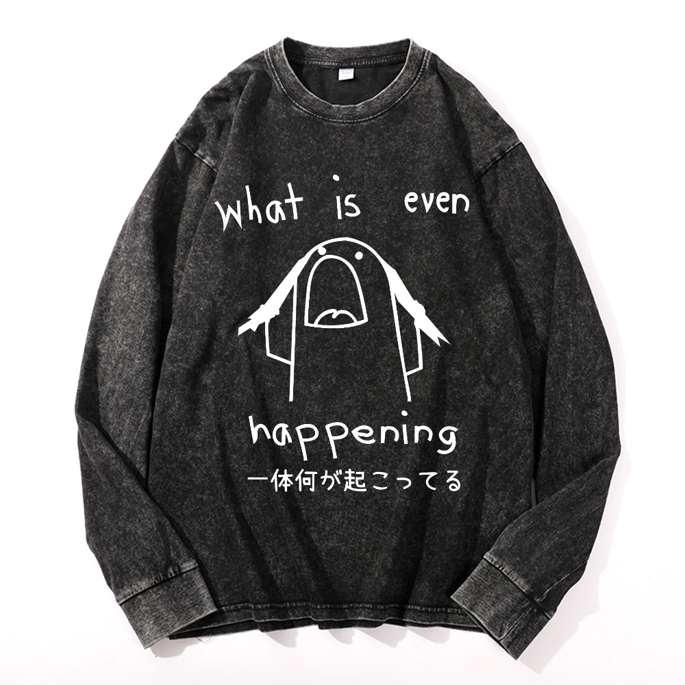 What Is Even Happening Vintage Cotton Wash Long-sleeve T-shirt